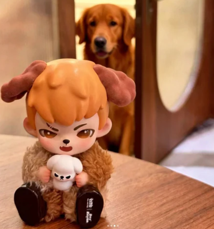 Rayan No Puppies No World Figure toy doll